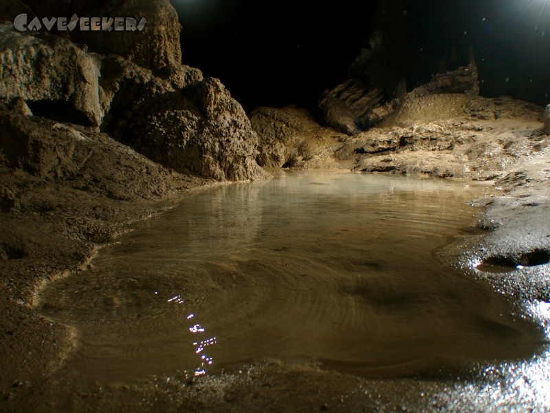 Kacna Jama: Relativ selten, aber dennoch leicht zu fotografieren: Wasserbecken im Loch.