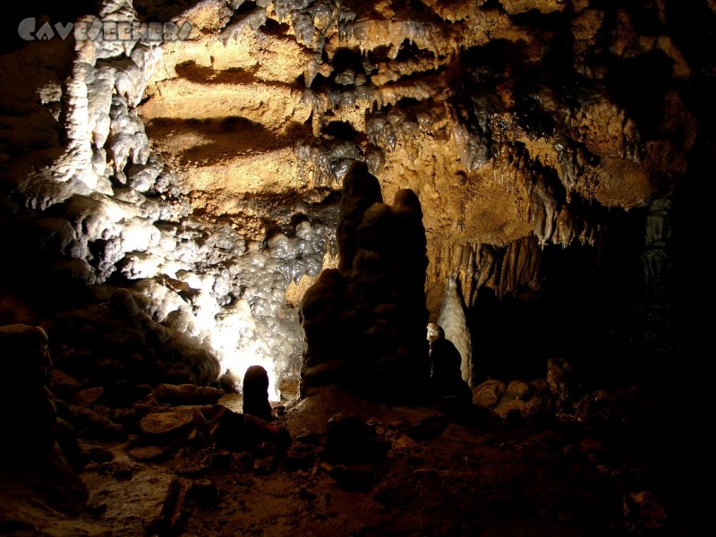 Kästnerhöhle: Spass mit Blitz vor vollständig überwucherter Wand.