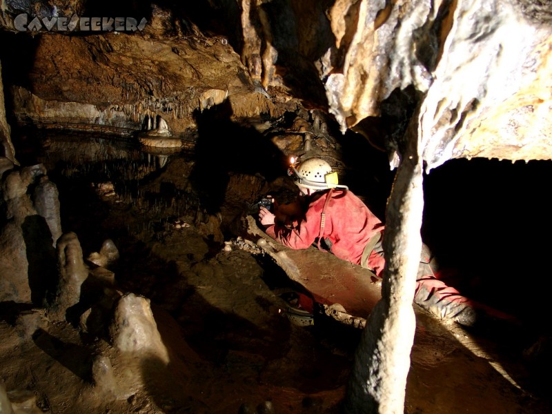 Kästnerhöhle: Ein Tag am Sinterbecken.