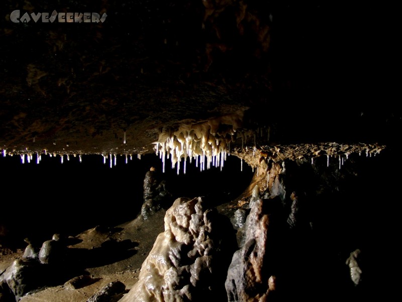 Kästnerhöhle: Ob sich hier ein einst gewaltiger Stalagtit bahn bricht?