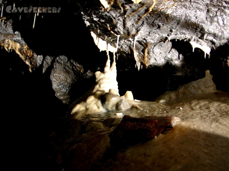 Kästnerhöhle: Doppelkopf.