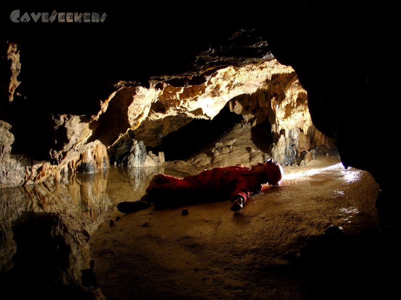 Kästnerhöhle: Wipplinger auf Red Bull.