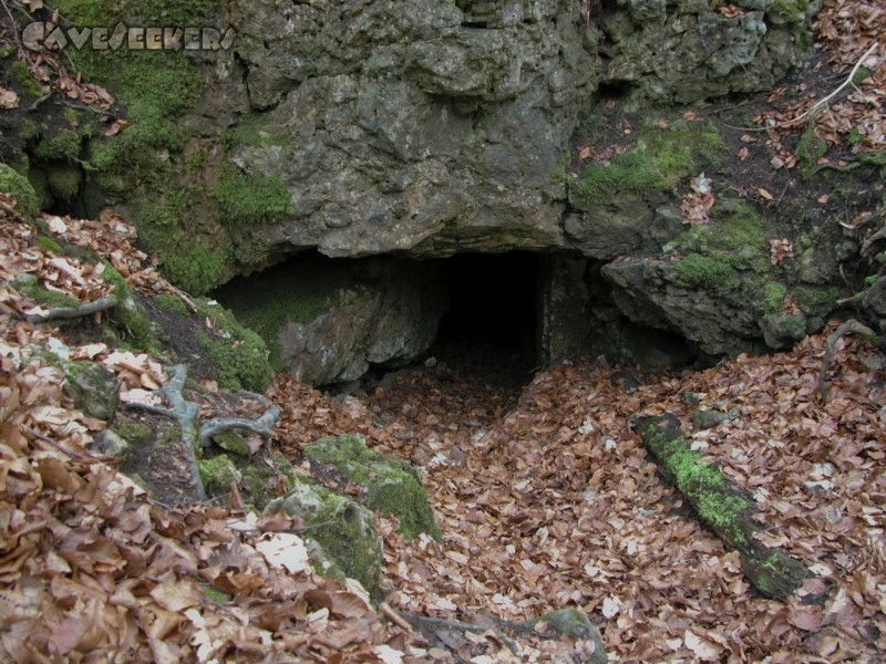 Kirchenweghöhle: Eingang unspektakulär.