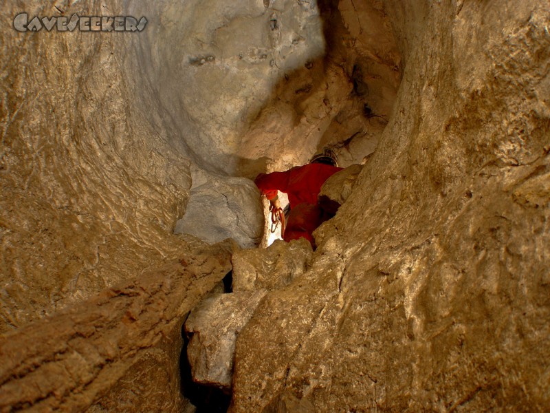 Klammhöhle: Aufstieg. Mit verrottetem Holz als Gehhilfe.