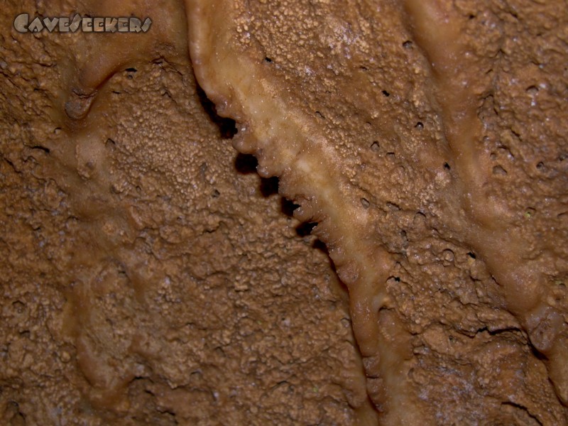 Klammhöhle: Sinter im hintersten Bereich.