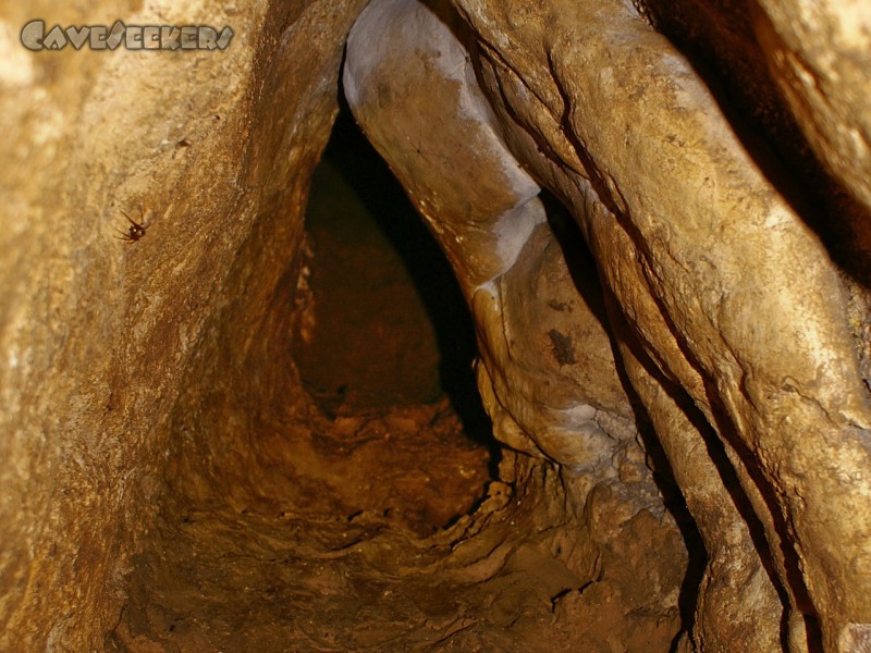 Klammhöhle: Die Schlüsselstelle. Nix für Fettsäcke vom Kaliber eines Wipplingers.