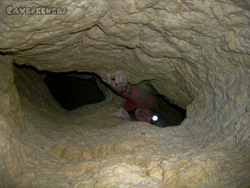 Klapfenberger Höhle: Wolfram in Angst.