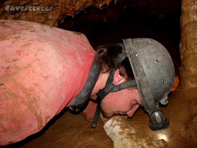 Klausenhöhlen: Interessante Kleinstfauna im Dreck. Nur mit dem Auge der Jugend zu erkennen.