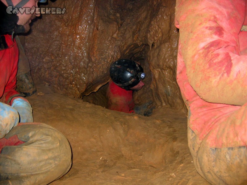 Klausenhöhlen: Rollschuhfahrer Schmidt: Voller Einsatz.