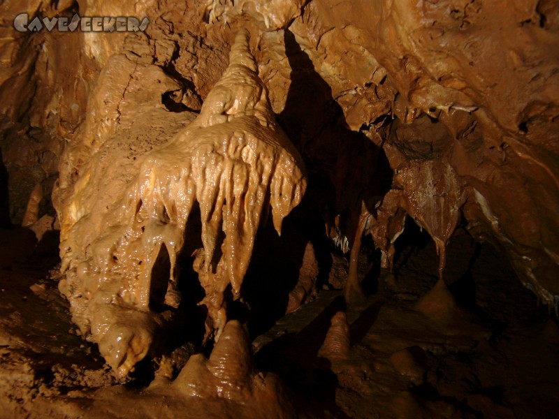 Klausenhöhlen: Das Prachtstück der Klausenhöhle.