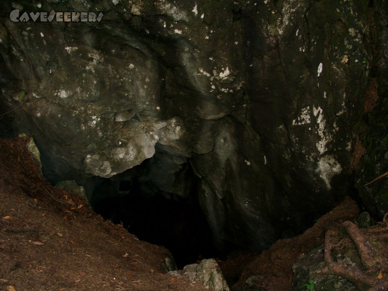 Kleine Spielberghöhle: Eingang.
