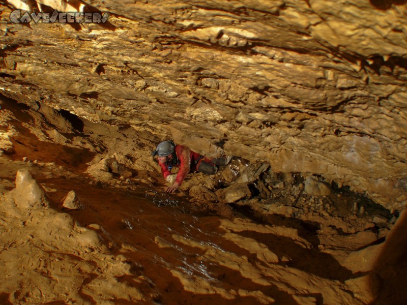 Klingloch K.: Der Bestäuber.