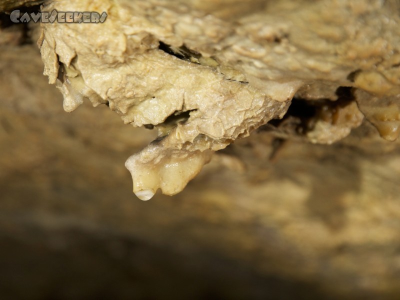 Klingloch K.: Ein prächtiges Speleothem.