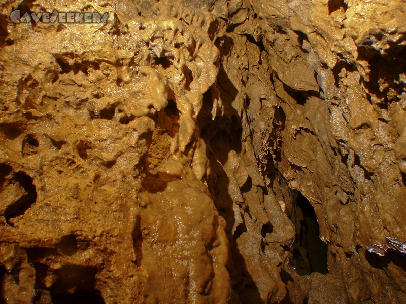 Kniegschlaggerlschacht: Noch mehr tolles Sinterwachstum. Ansatzweise sogar mit Krüppeln.