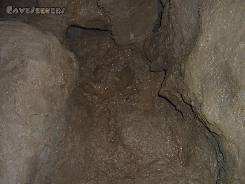 Kollerberghöhle: Der Kollerberghöhlendreck, so wie er hier überall zu finden ist. Auch an der Decke.