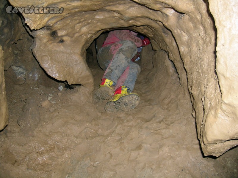 Kollerberghöhle: Sehr schön ist der Aufbau der Kollerberghöhle zu erkennen: Oben hart, unten weich.