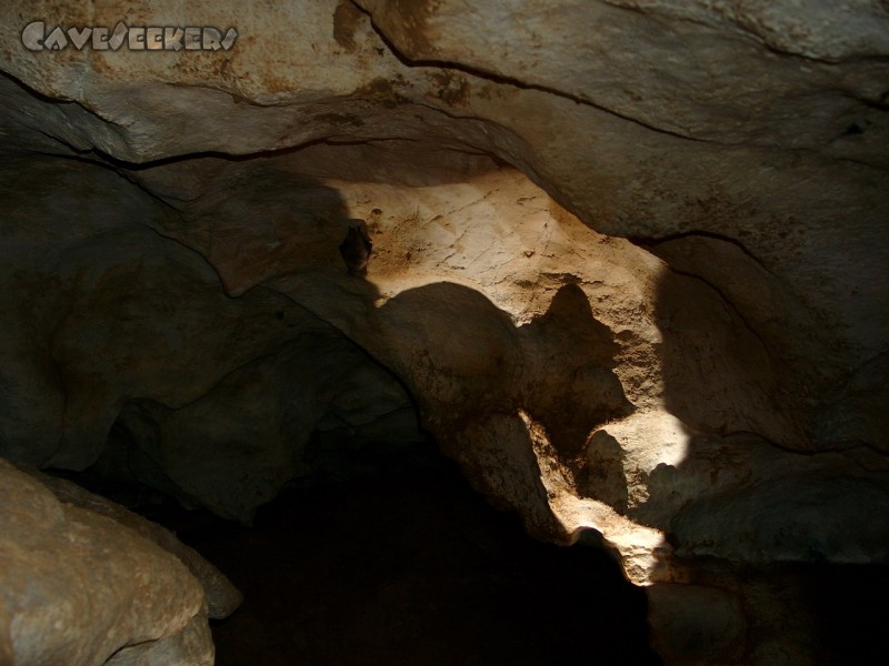 Kollerberghöhle: Fledermaussuchbild.