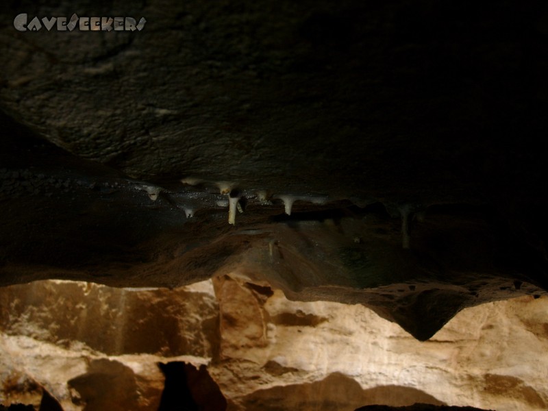 Kollerberghöhle: Kollerberghöhlentropfsteine.