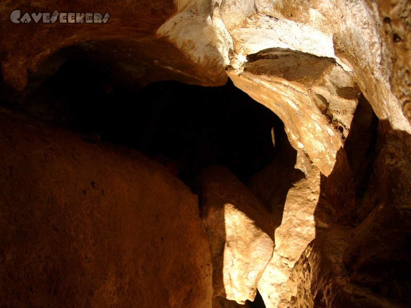 Kollerberghöhle: Profil.