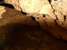 Kollerberghöhle - Der Tümpel. Profilneurose des Herrn Maccioni durch digitale Bildbearbeitung entfernt.