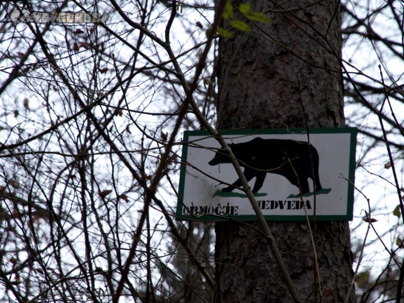 Krizna Jama: Sinngemäß steht auf den Schild zu lesen: Aufgepasst! Bären!