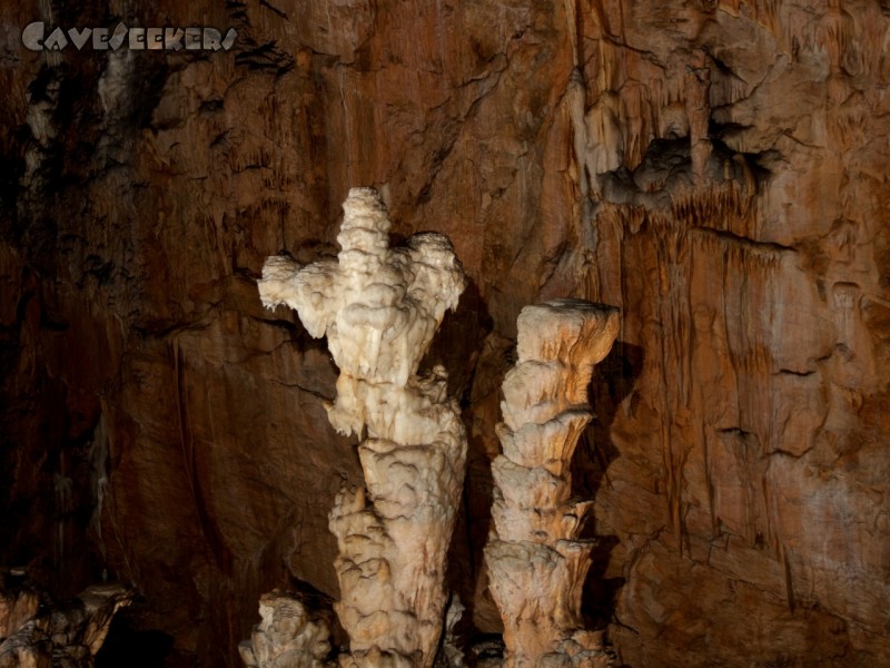 Krizna Jama: Das vermutlich wichtigste Speleothem im Loch.