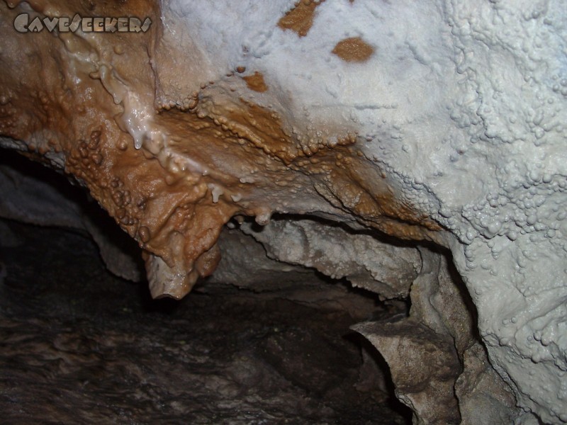 Kühlloch: Nahe am Siphon eine der zwei Versinterungen.