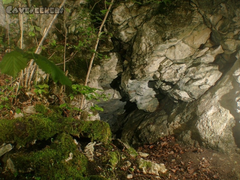 Leutenbacher Tropfsteinhöhle: Schwerlich unauffindbarer Höhleneingang. Schon hier kann der Laie das Potential der Lochs zweifelsfrei erkennen.