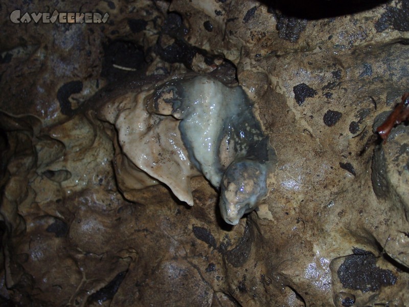 Lichtengrabenhöhle: Die einzige vorgefundene Versinterung.