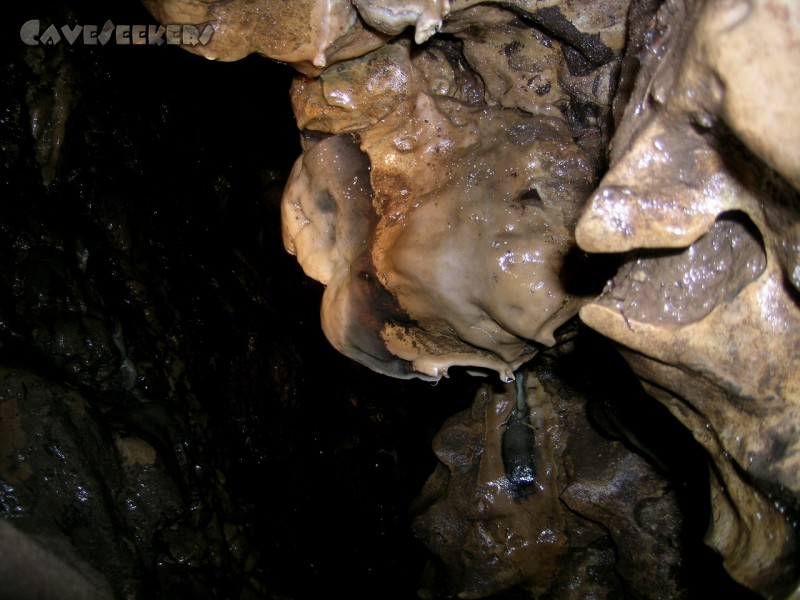 Lichtengrabenhöhle: Der Schluf ohne Wiederkehr.