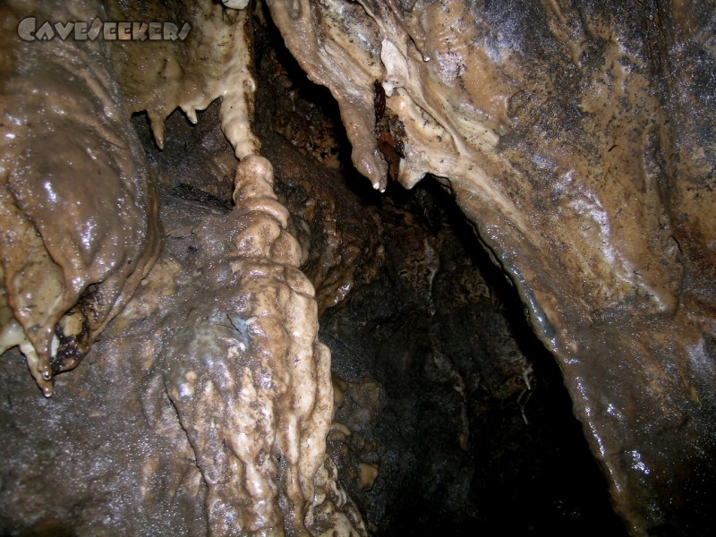 Lichtengrabenhöhle: Der Schluf ohne Wiederkehr.