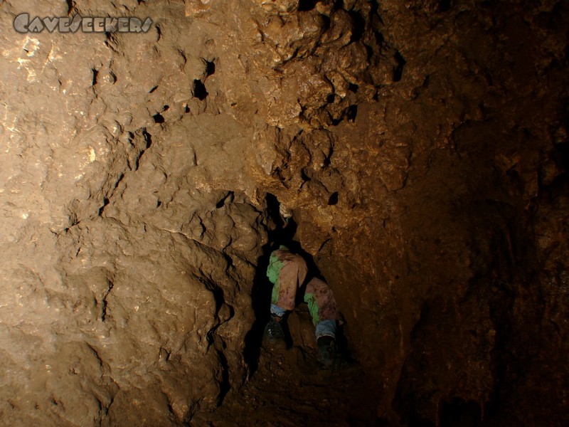 Lichtengrabenhöhle: Herr Rösler ohne Nerven.