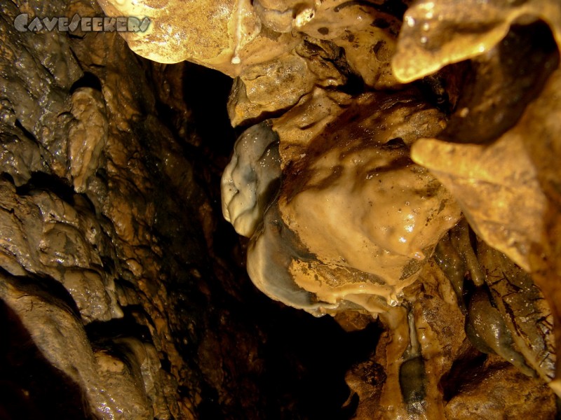 Lichtengrabenhöhle: Sinter - im letzten Eck gefunden