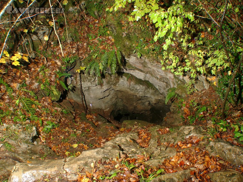 Logarcek Jama: Eingang Logarcek 25 Meter tief.