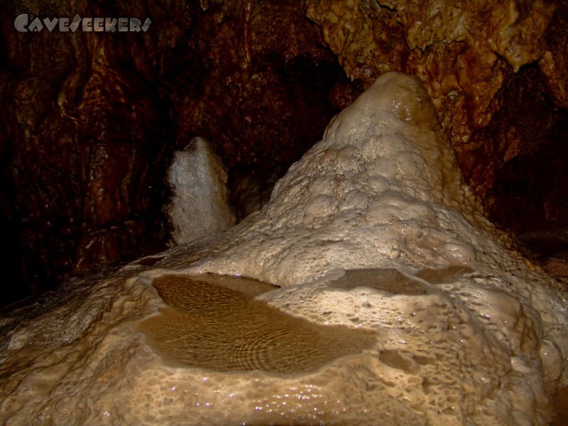 Longmen Water Cave: Erste Sinterbecken.