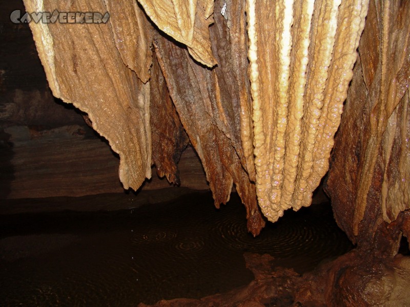 Longmen Water Cave: Brutal aktiv.