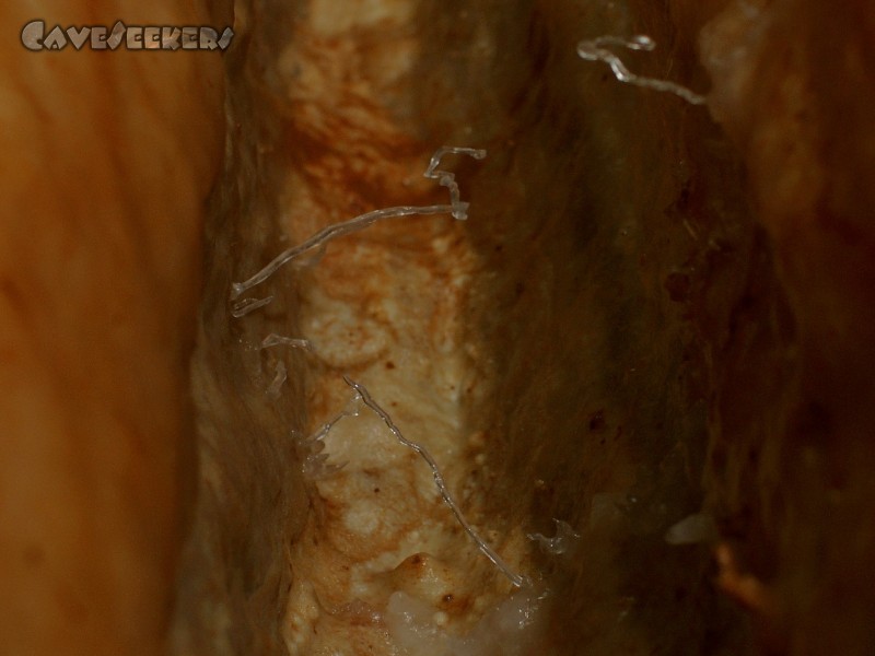 Lp 2: Mini-Excentrics.