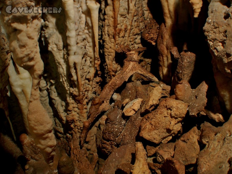 Lp 2: Brutal versintertes Knochenwerk.