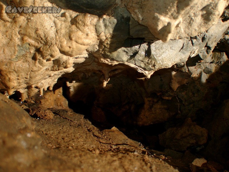 Mammuthöhle: Im Eingangsbereich.