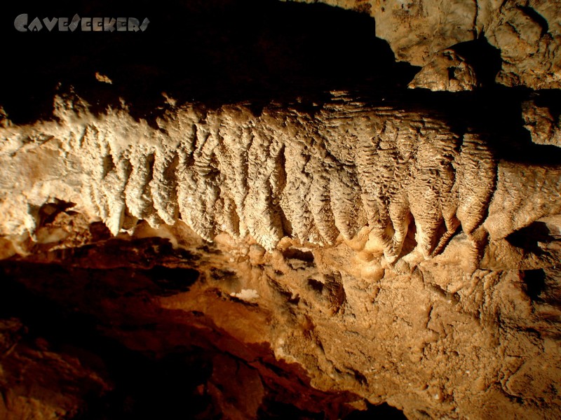 Mammuthöhle: Im Eingangsbereich.