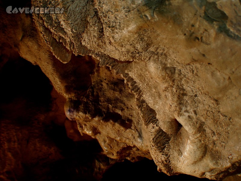 Mammuthöhle: Im Eingangsbereich.