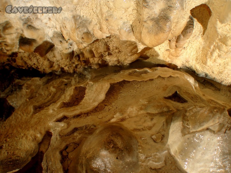 Mammuthöhle: Auch hier: Alles voller Wasser.