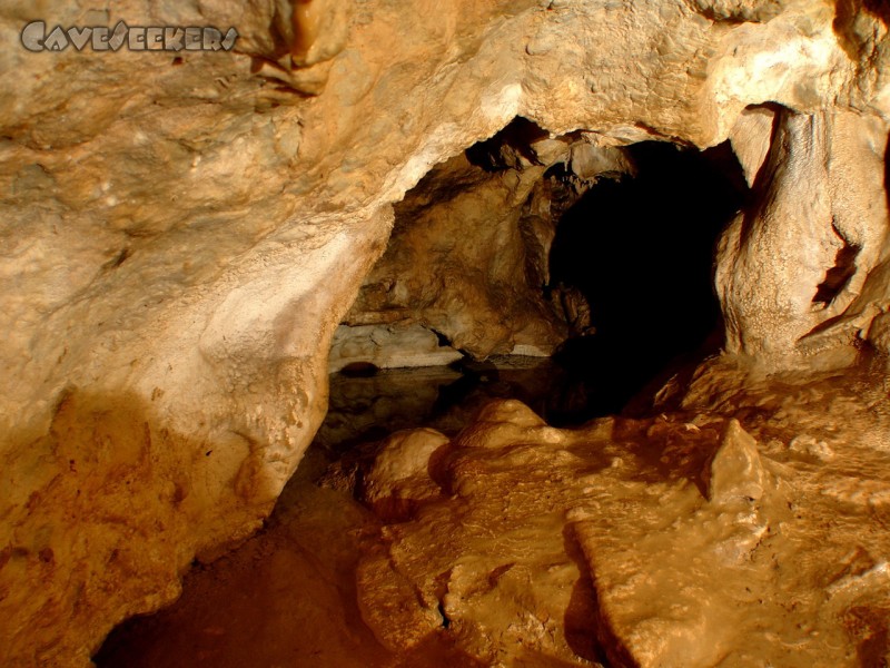 Mammuthöhle: Ein für fränkische Verhältnisse unfassbar großes Wasserbecken.