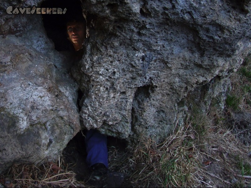 Mangfallbrückenhöhle: Hier erhält Wohnen unter der Brücke eine neue Bedeutung.