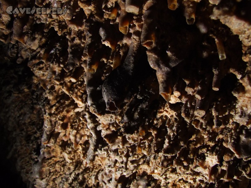 Mangfallbrückenhöhle: Rohrsinter - oder Spinnenbrutkammern?