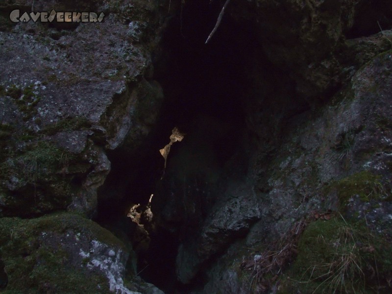 Mangfallsinterdeckenhöhle: Eingang Mangfallsinterdeckenhöhle