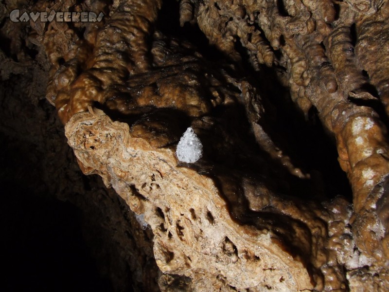 Mangfallsinterdeckenhöhle: Kreativer Kokon