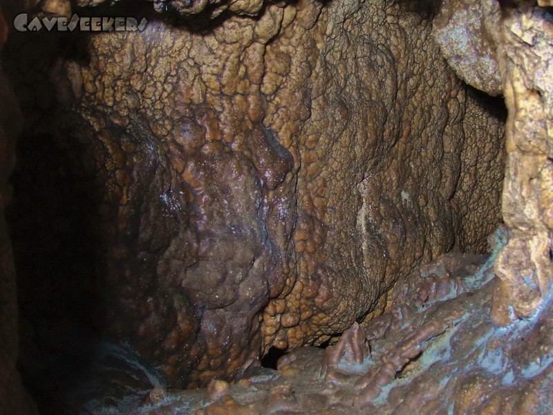 Mangfallsinterdeckenhöhle: Auffällig - keine sichtbare Spinne.