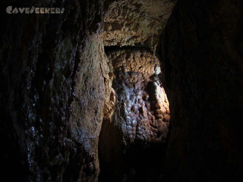 Mangfallsinterdeckenhöhle: 30 cm weit - trotzdem eng, da Spinnen an jeder Wandstelle dick auftragen.