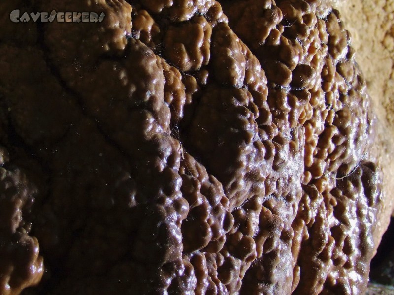 Mangfallsinterdeckenhöhle: Eingewobener Sinter - Spinnen überall